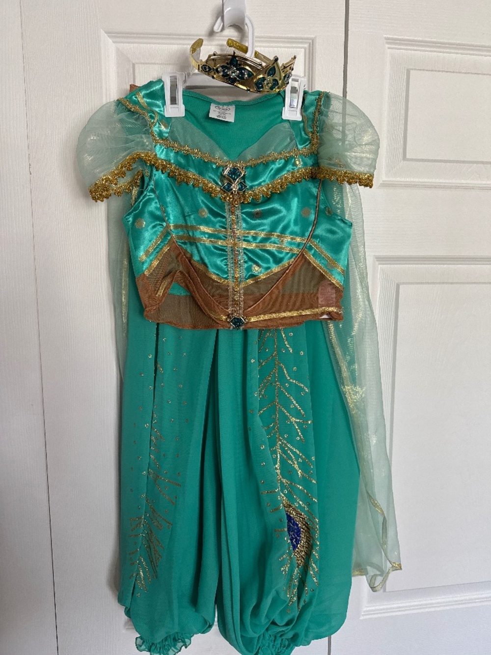 Disney Princess Costume